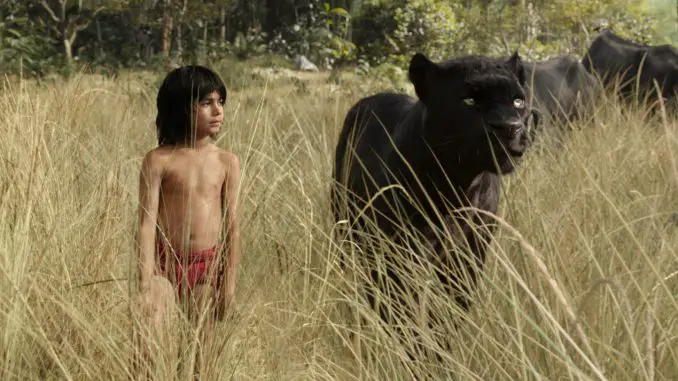 The Jungle Book: Mowgli (Neel Sethi) und Baghira.