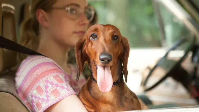 Wiener Dog: Dawn (Greta Gerwig) mit Dackel