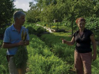 Die Landwirte Perrine und Charles Hervé-Gruyer bauen nach dem Prinzip der Permakultur an
