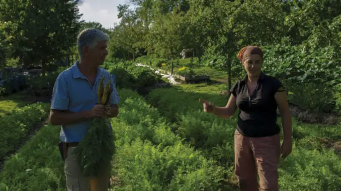 Die Landwirte Perrine und Charles Hervé-Gruyer bauen nach dem Prinzip der Permakultur an