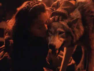 Die Zeit der Wölfe: Die junge Rosaleen (Sarah Patterson) fühlt sich zu den Wölfen hingezogen