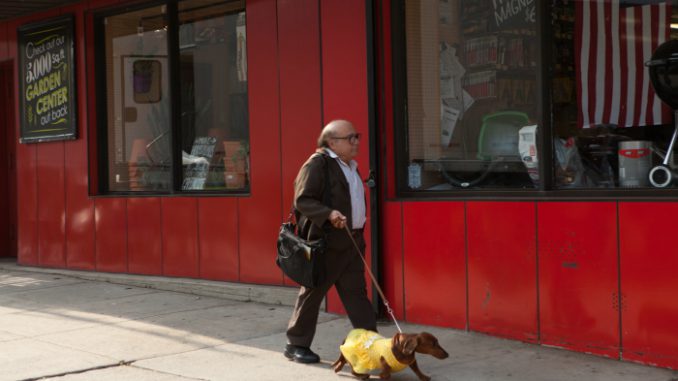 Danny DeVito in Wiener Dog