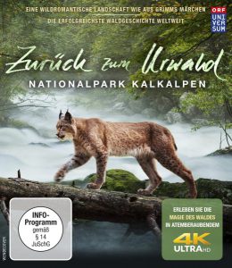 Zurück zum Urwald – Der Nationalpark Kalkalpen 4K Cover
