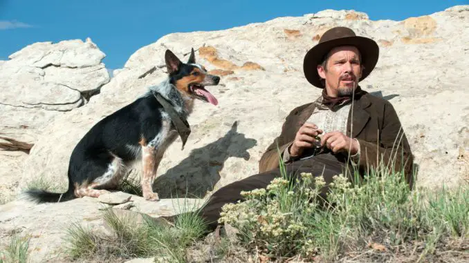 In a Valley of Violence: Ethan Hawke