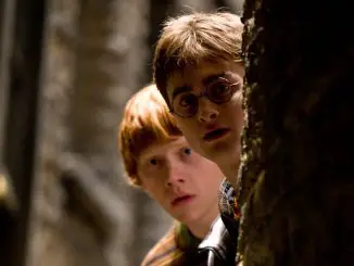 Ron (Rupert Grint) und Harry (Daniel Radcliffe) lauschen