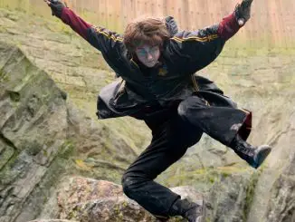 Harry Potter und der Feuerkelch - Harry muß beim Turnier über sich hinauswachsen