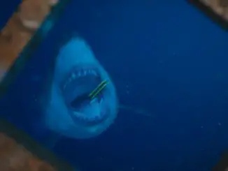 47 Meters Down - Ein Haiangriff aus der Tiefe