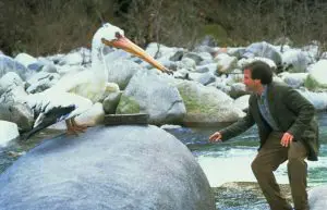 Jumanji_4: Alan (Robin Williams) legt sich mit einem Pelikan an