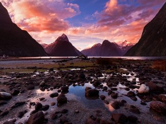 Wildes Neuseeland - Inseln am Ende der Welt auf Blu-ray