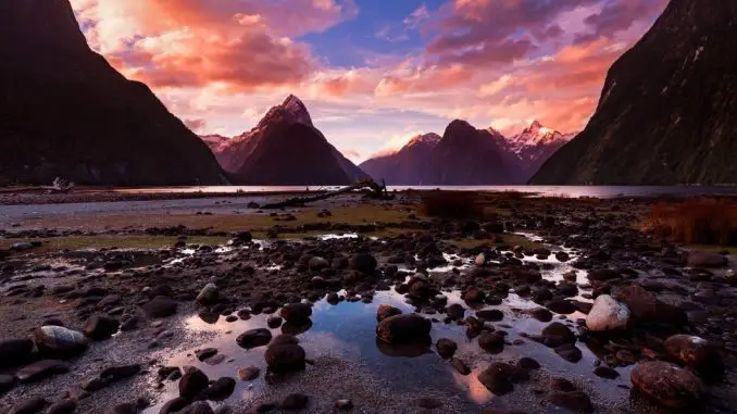 Wildes Neuseeland - Inseln am Ende der Welt auf Blu-ray