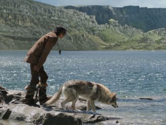 Alpha zeigt die Verbindung zwischen Mensch und Wolf