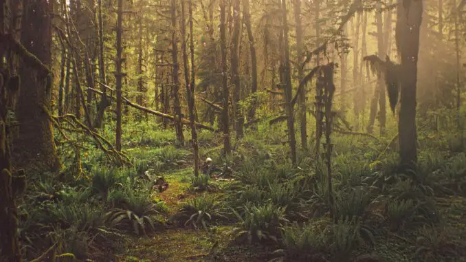 Prospect - Der Wald steckt voller Schätze und Gefahren