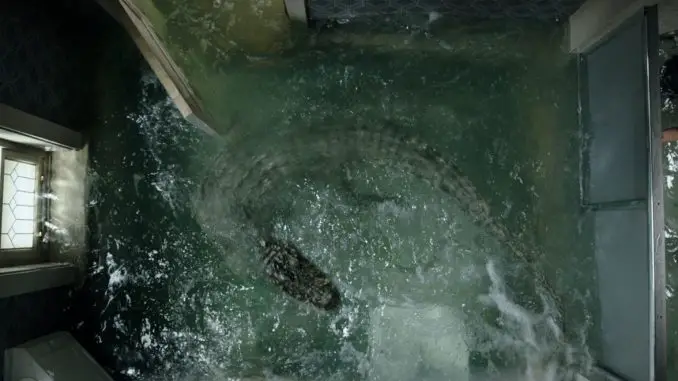 Crawl - Ein Alligator im Badezimmer