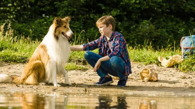 Lassie und Florian (Nico Marischka)