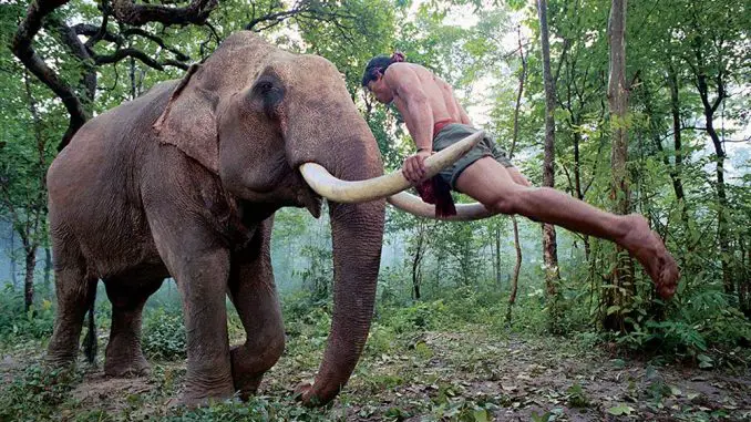 Revenge of the Warrior: Training mit Elefant