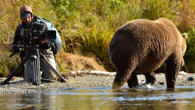 Der Bär in mir : Ein Grizzli-Bär vor der Kamera