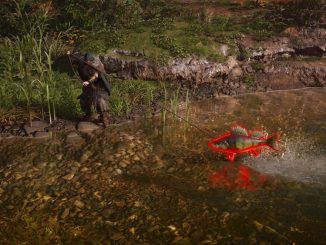 Assassin's Creed Valhalla: Forelle fischen