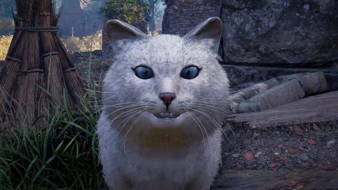 Assassin's Creed Valhalla: Katzenbegleiter