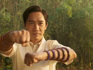 Shang-Chi and the Legend of the Ten Rings: Shang-Chi (Simu Liu)