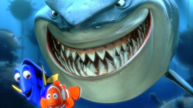 Findet Nemo: Bild mit Hai