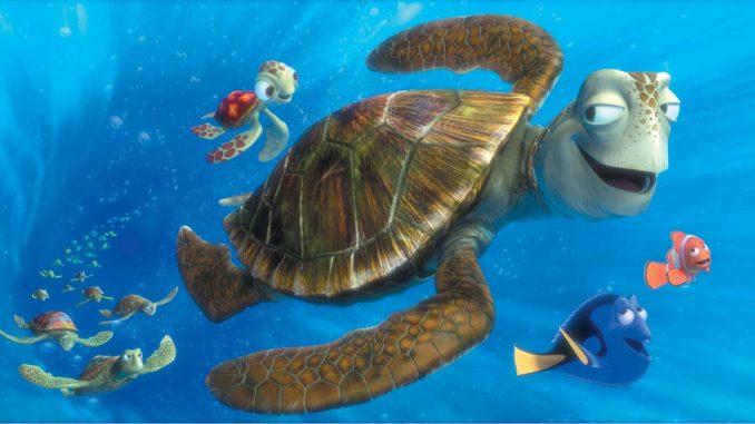 Findet Nemo: Unterwegs mit den Schildkröten