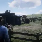 Red Dead Redemption 2: Wo man Ziegen findet