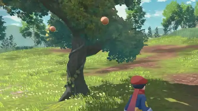 Pokémon Legenden: Arceus - Aprikoko-Baum