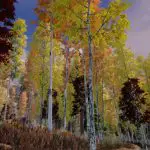 Skyrim Mod fügt dem Spiel tausende Bäume hinzu