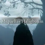Elden Ring: Wie man zu Miquellas Haligbaum gelangt