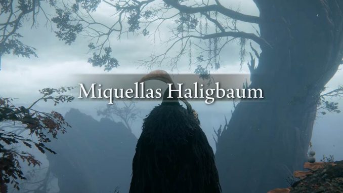 Elden Ring: Miquellas Haligbaum