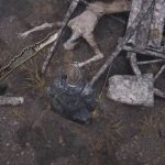 Elden Ring: Wo man das Plündererkrummschwert findet