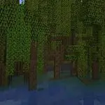 Minecraft: Wie man Mangrovensümpfe findet