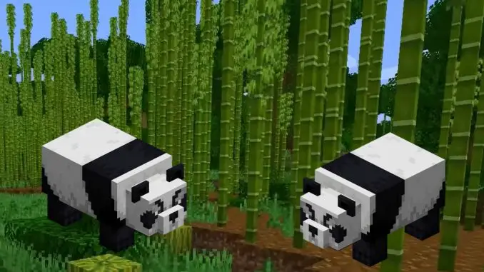Minecraft - Pandas