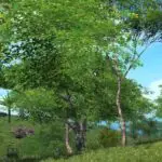 Wie man in Final Fantasy XIV Kupfererz erhält – Inselparadies