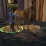 Der Herr der Ringe Online - Ein Pferd