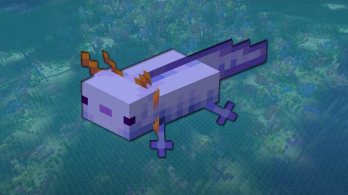 Minecraft - blauer Axolotl