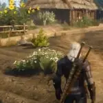 The Witcher 3 - Arenaria