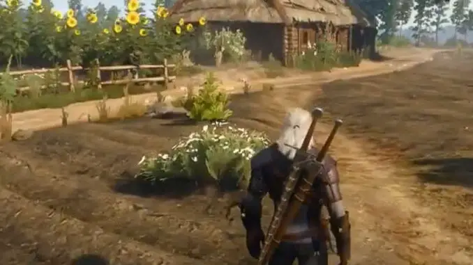 The Witcher 3 - Arenaria