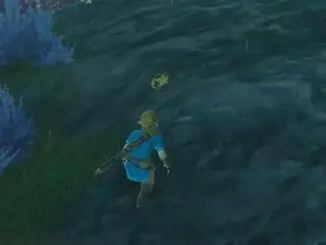 Breath of the Wild - Fitkröte