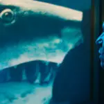 Year of The Shark - Blu-ray