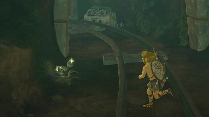 Zelda: Tears Of The Kingdom - Leuchtblumensamen
