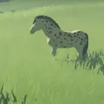 Zelda: Tears of the Kingdom - Wo ist mein Pferd?