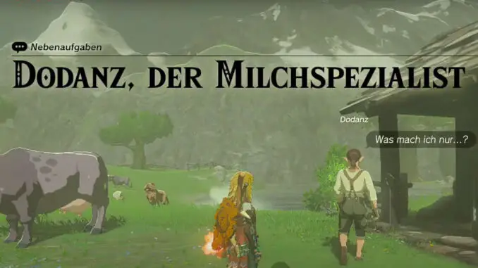 Zelda: Tears Of The Kingdom - Dodanz