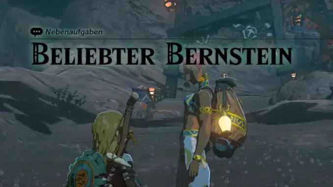 Zelda: Tears Of The Kingdom - Beliebter Bernstein