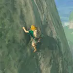 Zelda: Tears of the Kingdom - Link auf der Suche nach Frostkraut
