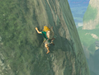Zelda: Tears of the Kingdom - Link auf der Suche nach Frostkraut