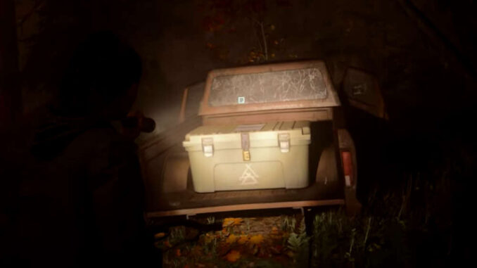 Alan Wake 2 - Kultversteck auf der Ladefläche des Pickup